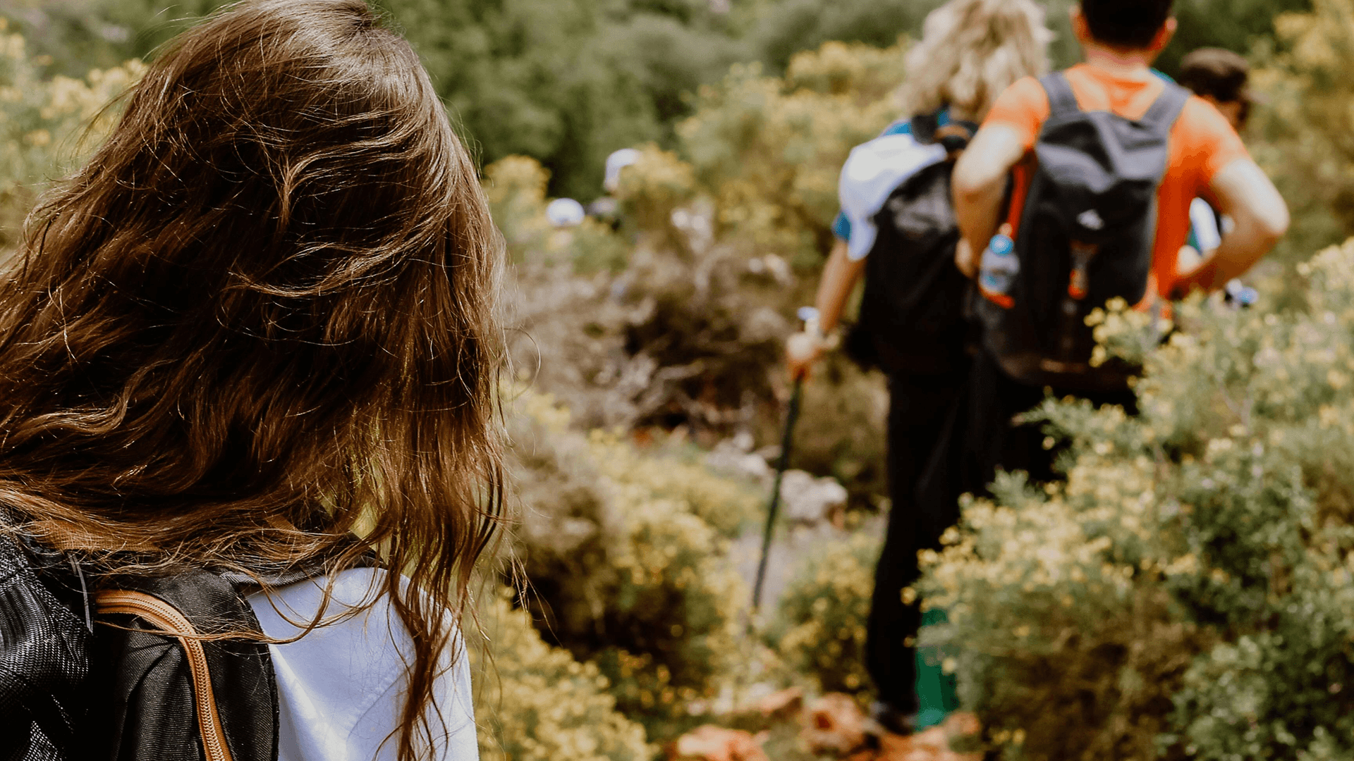 Nature & hiking